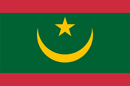 Mauritania process services