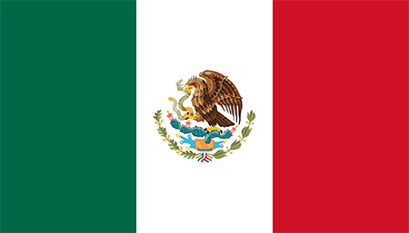 Mexico process services