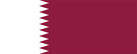 Qatar process services