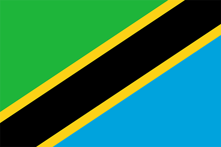 Tanzania process services