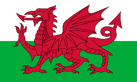 Wales process services