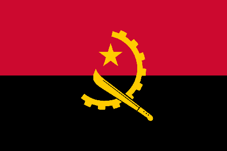 Angola process services