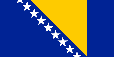 Bosnia process services