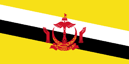 Brunei process services