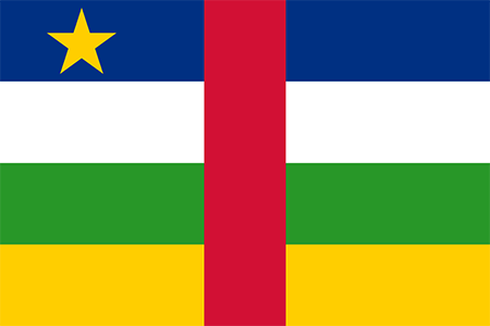 Central African Republic process services