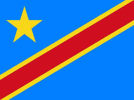Democratic Republic of the Congo process services