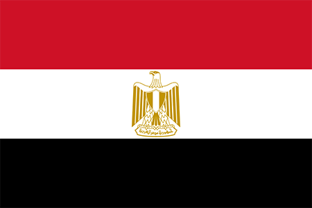 Egypt process services