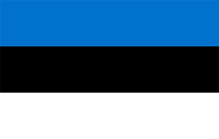 Estonia process services