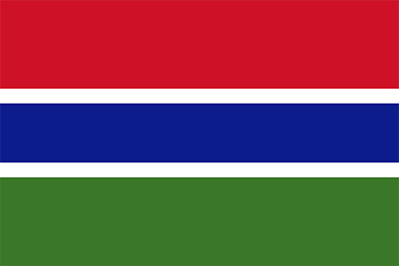 Gambia process services