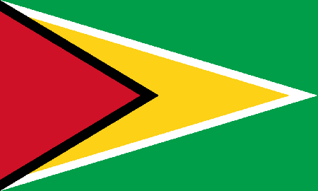Guyana process services