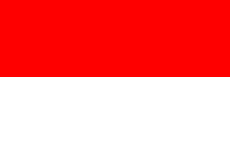Indonesia process services