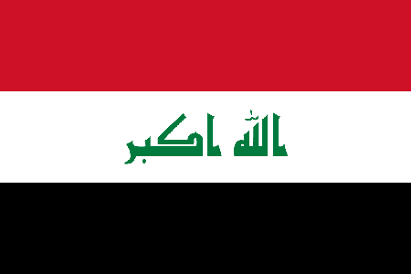 Iraq process services