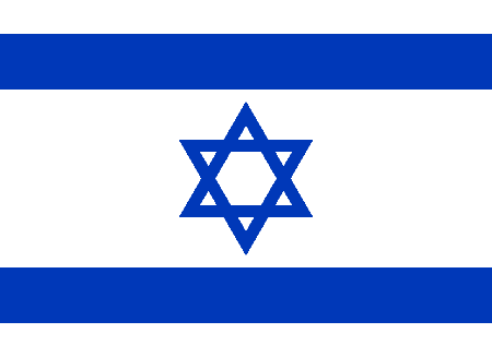 Israel process services