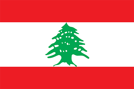 Lebanon process services