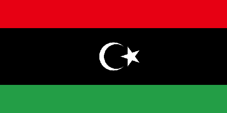 Libya process services