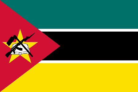 Mozambique process services