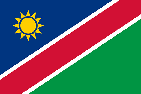 Namibia process services