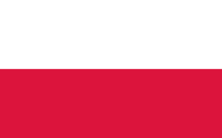 Poland process services