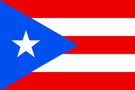 Puerto Rico process services