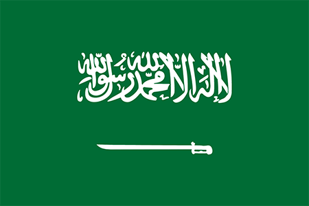 Saudi Arabia process services