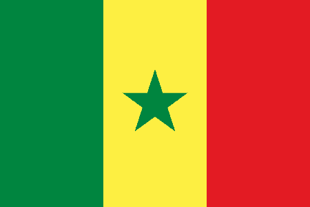 Senegal process services