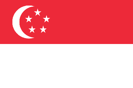 Singapore process services