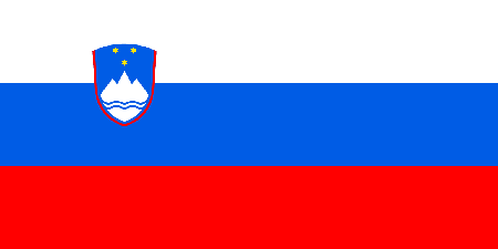 Slovenia process services