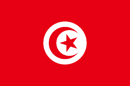 Tunisia process services