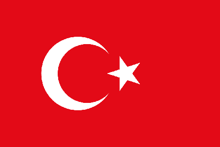 Turkey process services