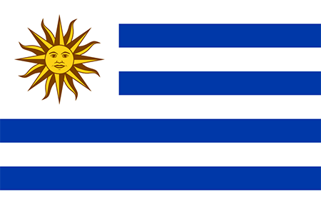 Uruguay process services