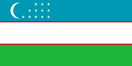 Uzbekistan process services