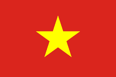 Vietnam process services