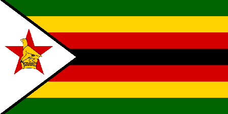 Zimbabwe process services